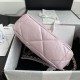 CHANEL 19  Small HANDBAG