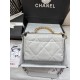 CHANEL 19 SMALL HANDBAG