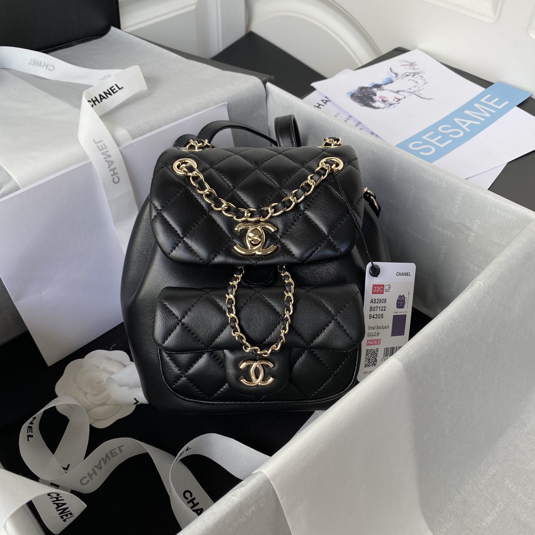 CHANEL 22A mini Duma Backpack