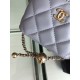 CHANEL Quilted Pearl Crush Mini Vanity Case