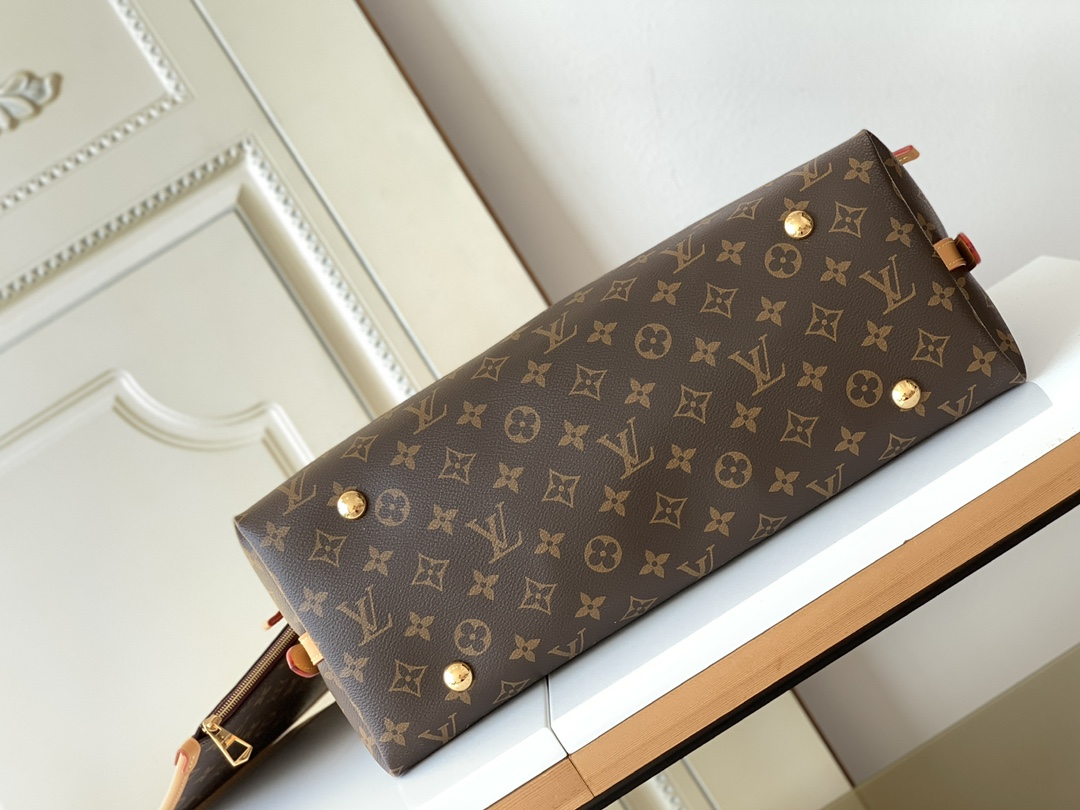 LV CARRYALL MM