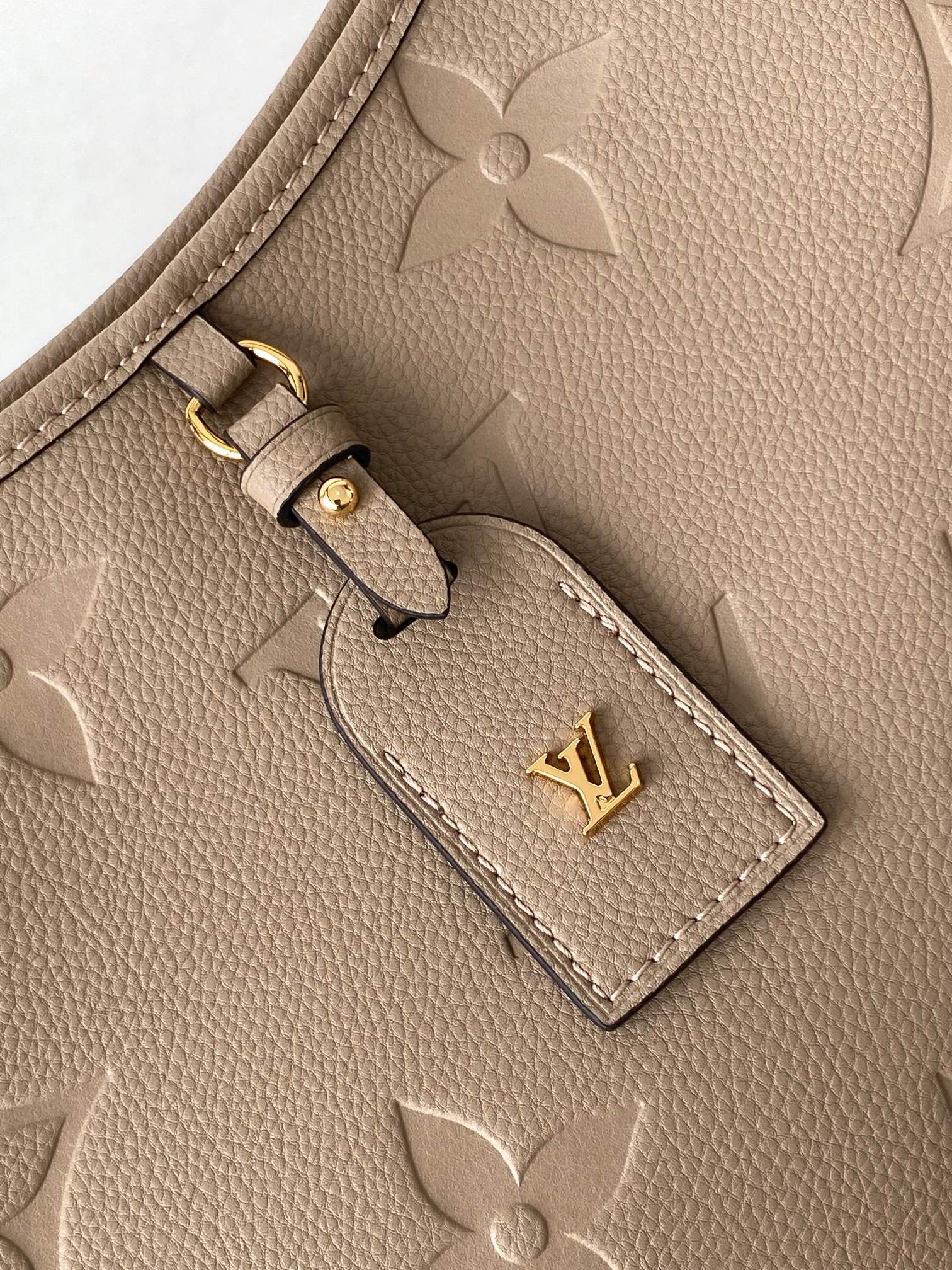 LV CARRYALL 