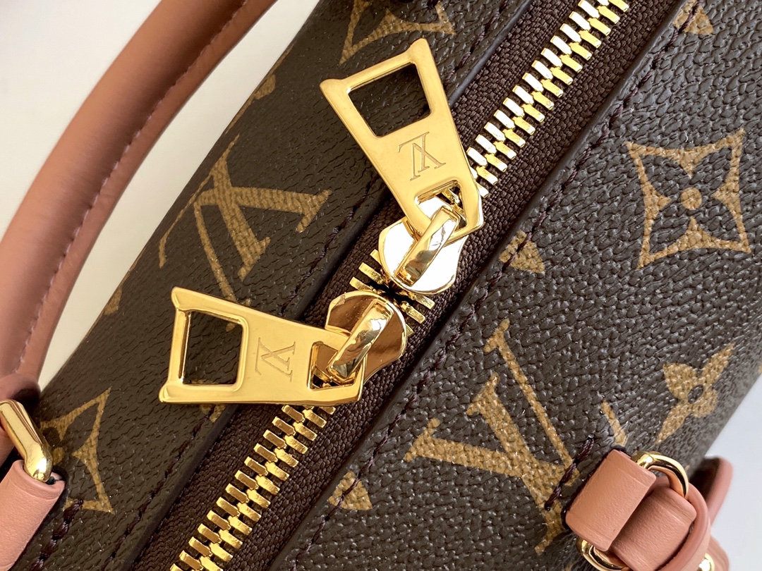 Louis Vuitton PETITE MALLE SOUPLE