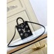 LV PETIT SAC PLAT