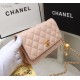 CHANEL WALLET ON CHAIN